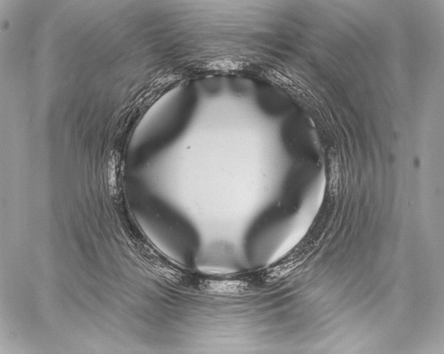 X0000059790268200511111543