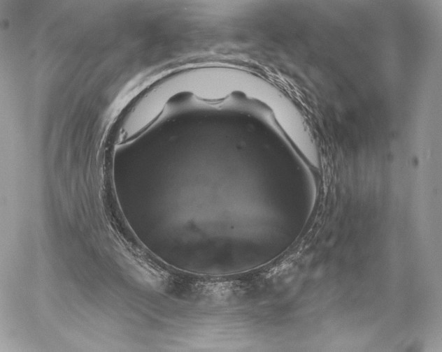 X0000059790295200511111542