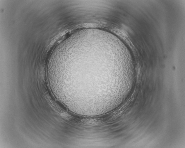 X0000059790297200511111542