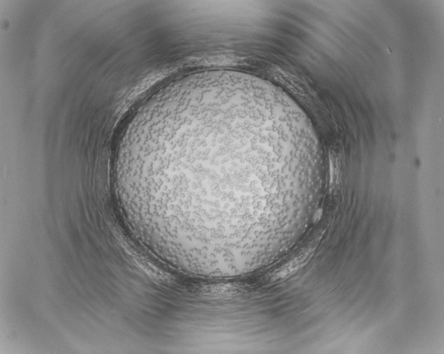 X0000059790301200511111542