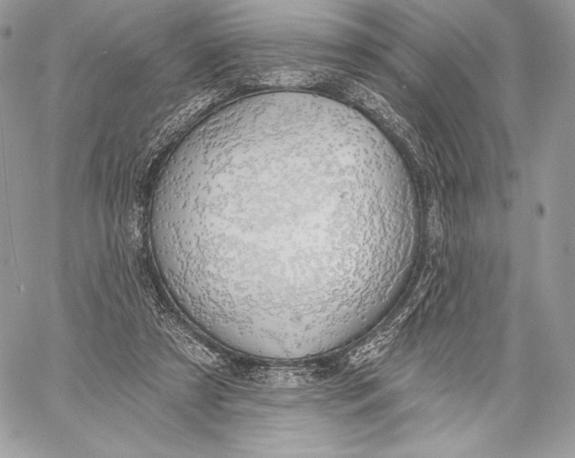 X0000059790305200511111542