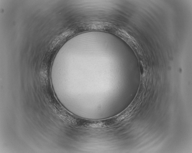 X0000059790306200511111542