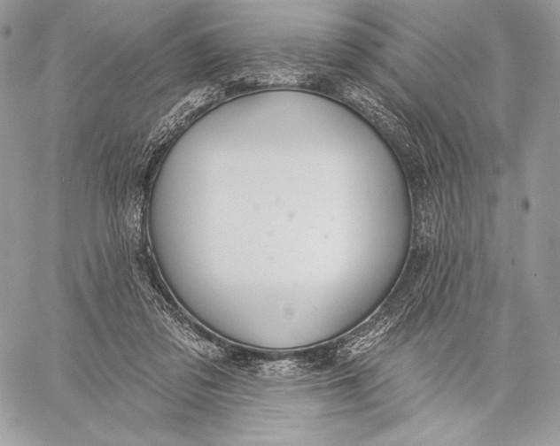 X0000059790309200511111542