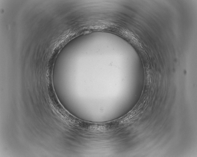 X0000059790354200511111541