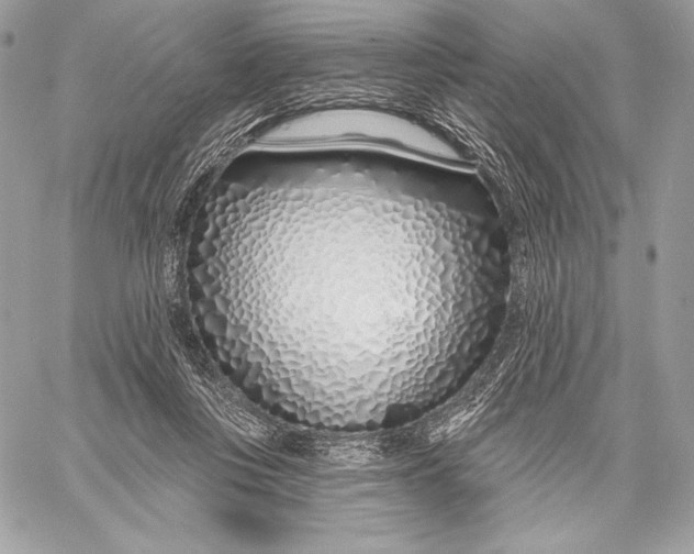 X0000059790359200511111541