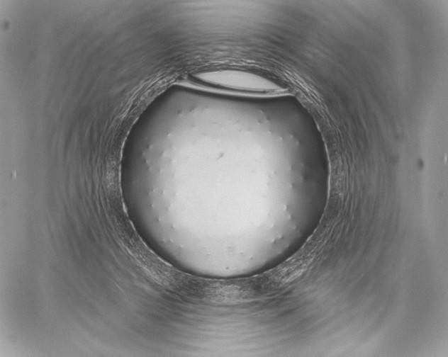 X0000059790361200511111541