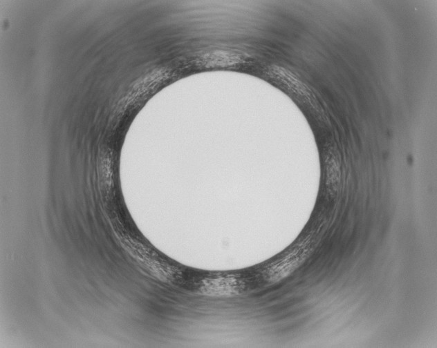X0000059790362200511111541