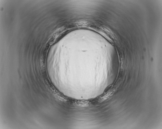 X0000059790377200511111541
