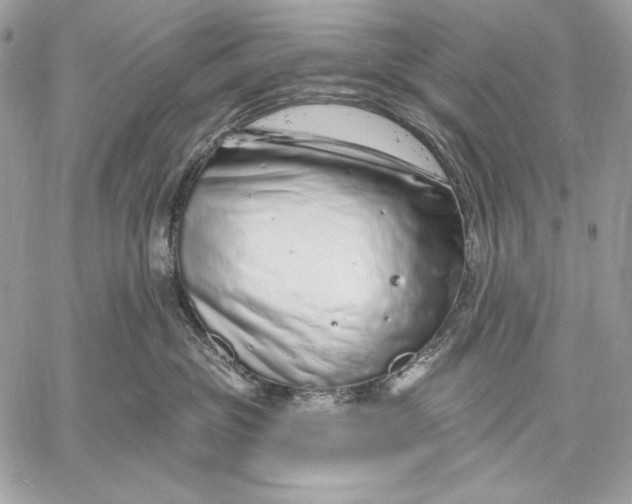X0000059790381200511111541