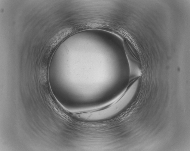 X0000059790393200511111541