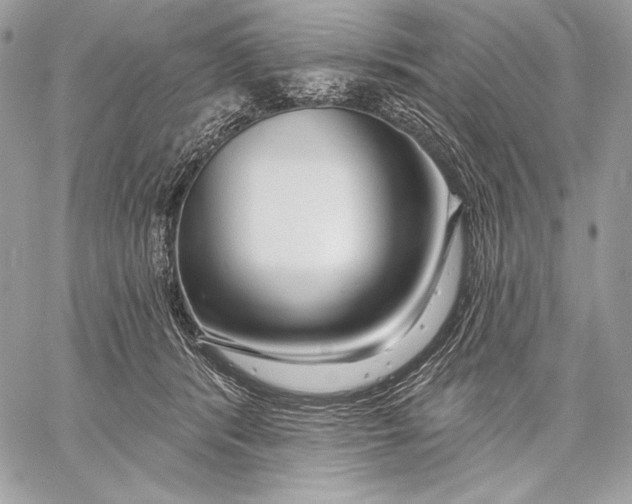X0000059790416200511111540