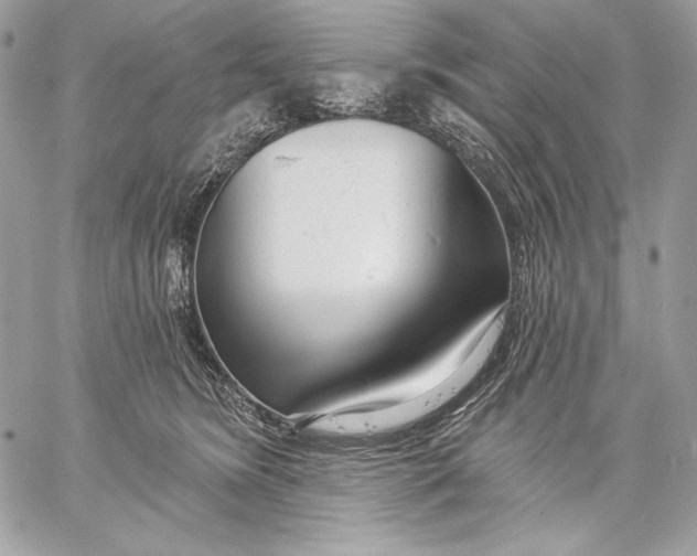 X0000059790420200511111540