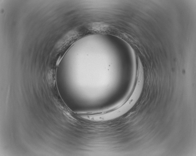 X0000059790428200511111540