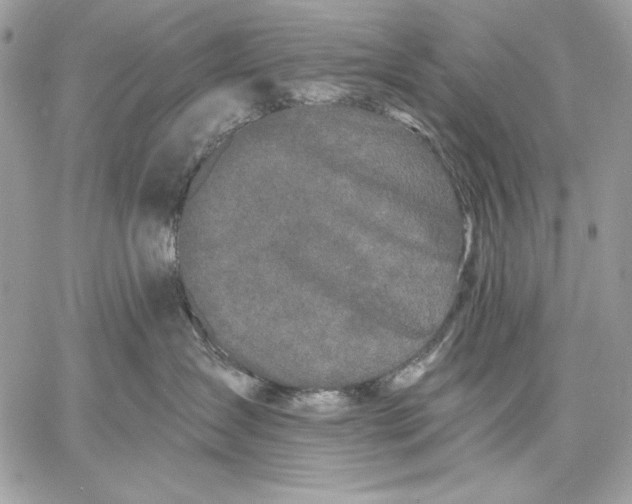 X0000059790431200511111540