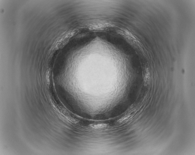 X0000059790452200511111539