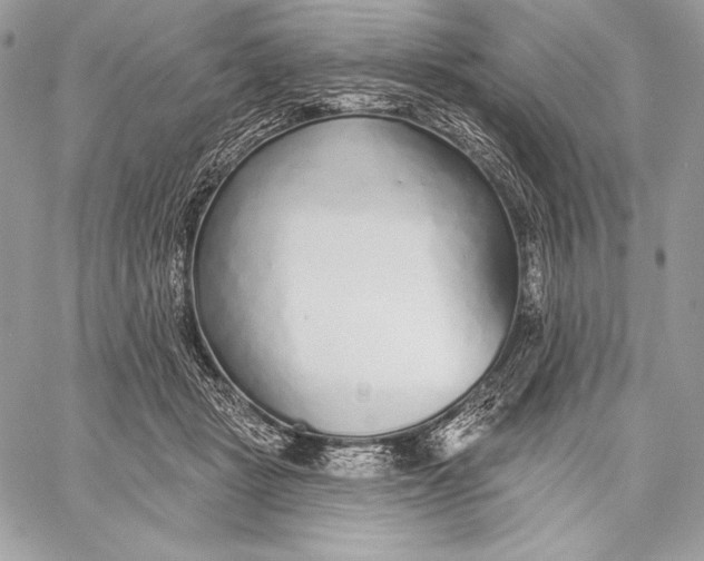 X0000059790461200511111540