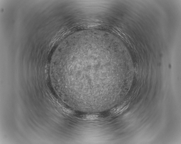 X0000059790462200511111540