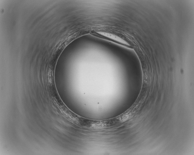X0000059790470200511111540