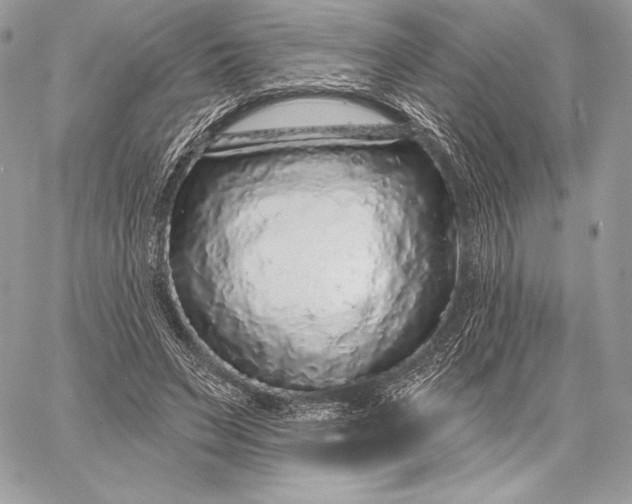 X0000059790495200511111539