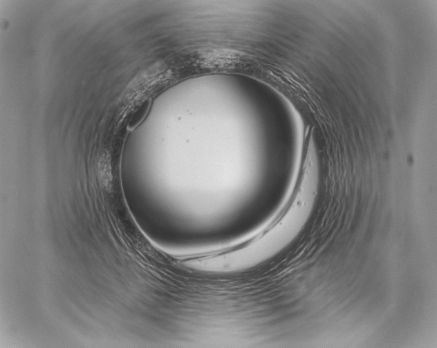 X0000059790508200511111539