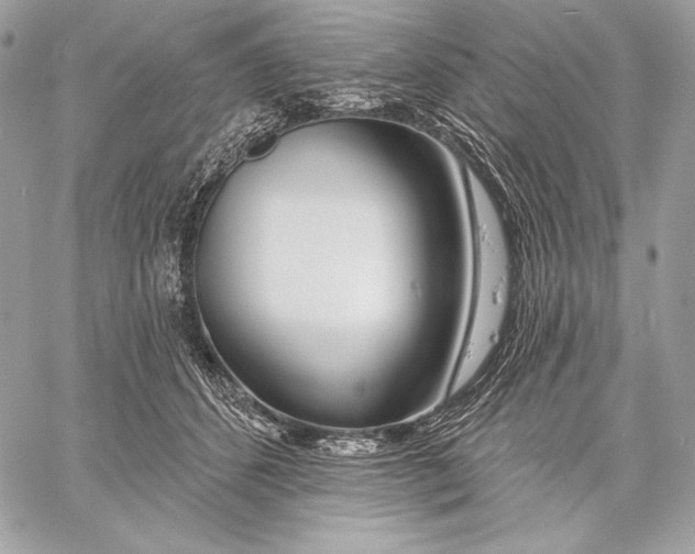 X0000059790512200511111539