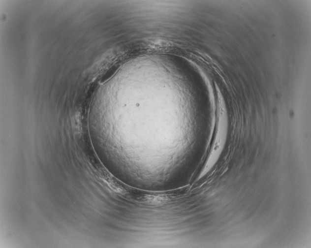 X0000059790520200511111538
