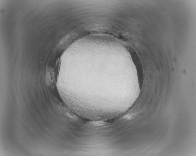 X0000059790528200511111538