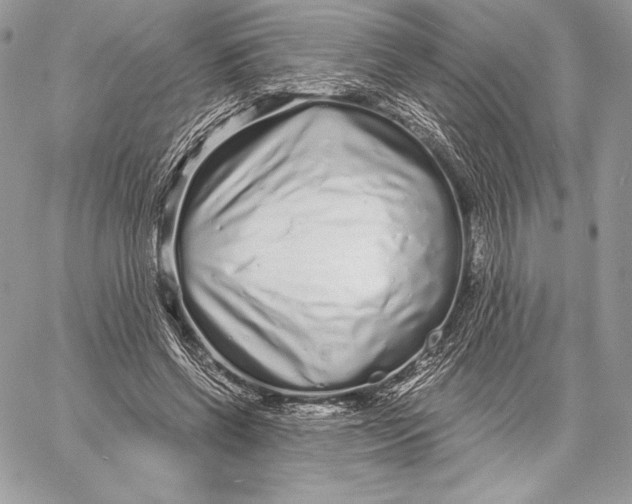 X0000059790542200511111538