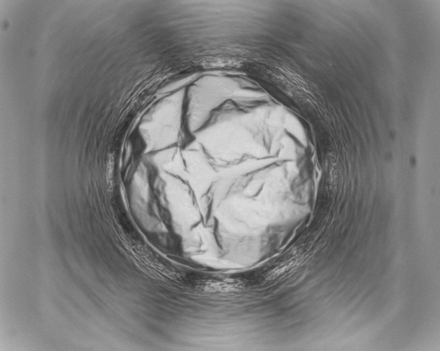 X0000059790550200511111538