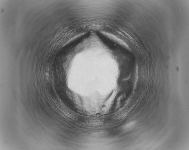 X0000059790553200511111538