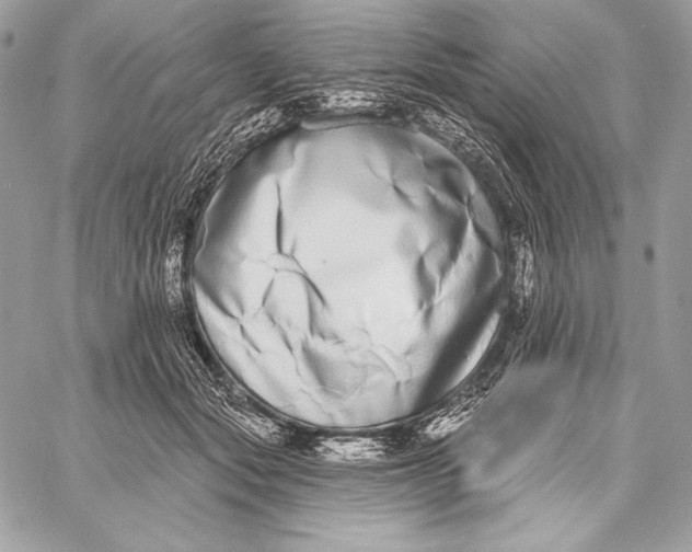 X0000059790557200511111538