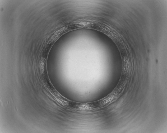 X0000059790562200511111538