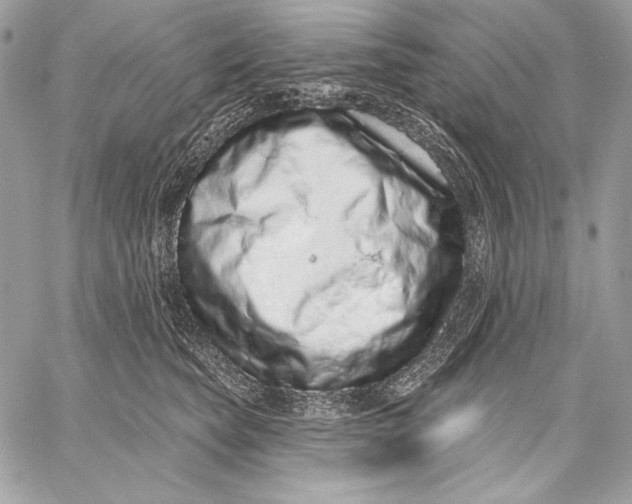 X0000059790565200511111538