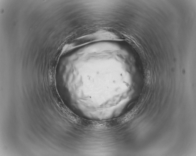 X0000059790569200511111538