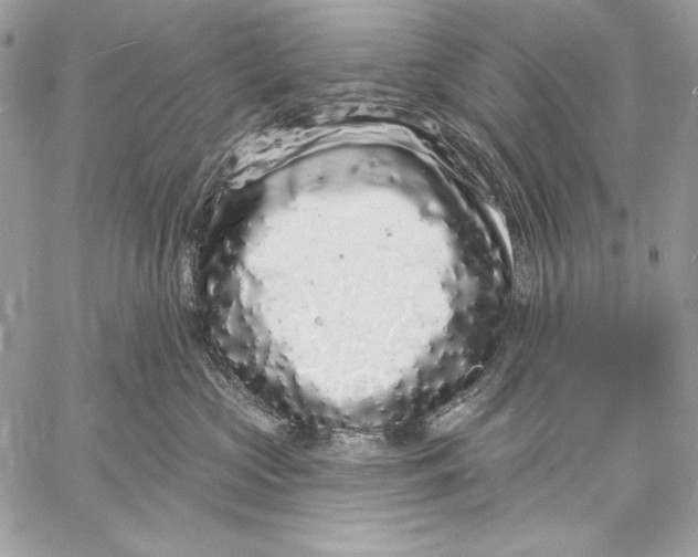 X0000059790573200511111538