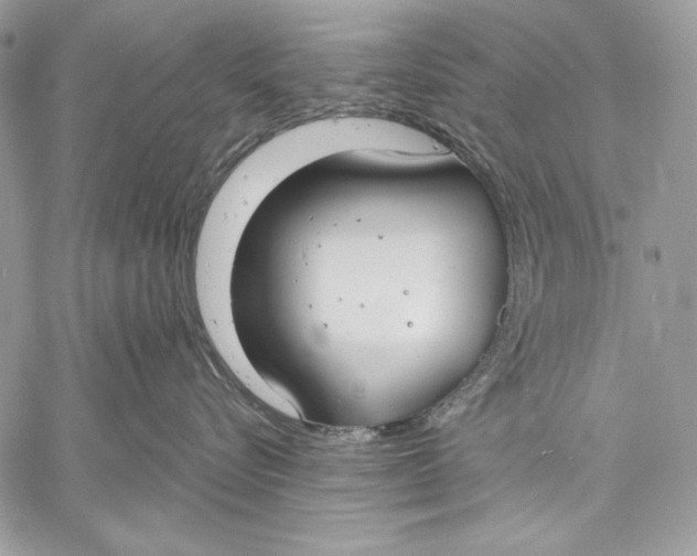 X0000059790576200511111538