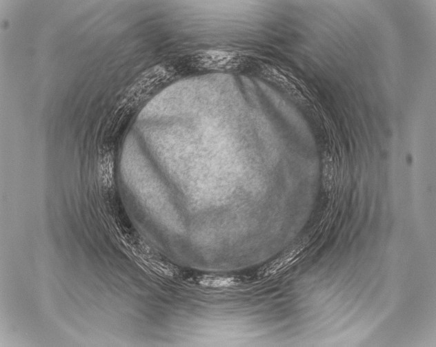 X0000059790602200511111537