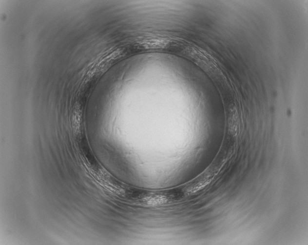 X0000059790604200511111537