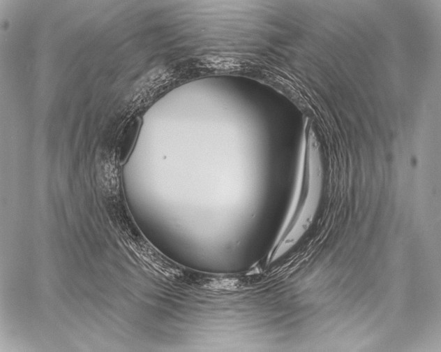 X0000059790609200511111537