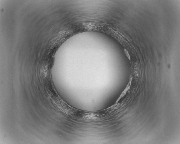 X0000059790611200511111537