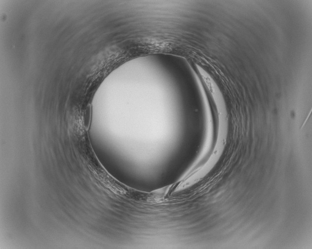 X0000059790613200511111537