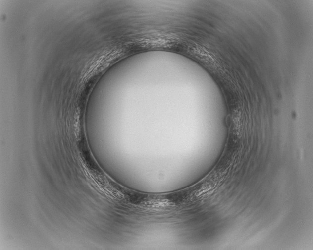 X0000059790642200511111536