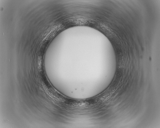 X0000059790646200511111536