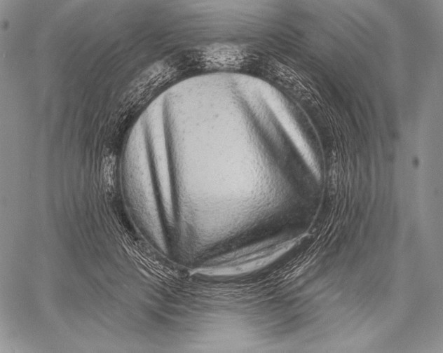 X0000059790649200511111536