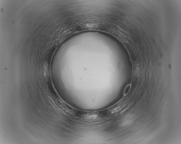 X0000059790651200511111536