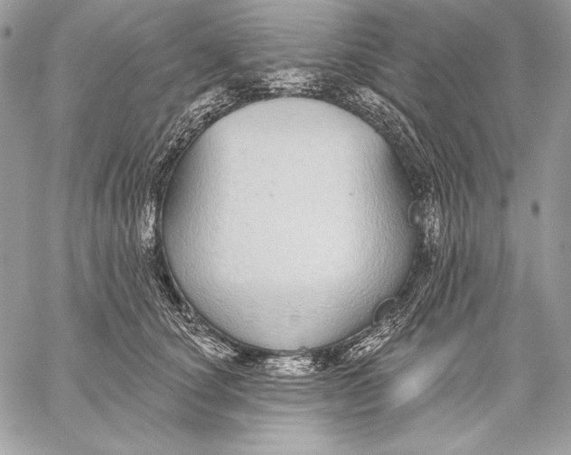 X0000059790660200511111536