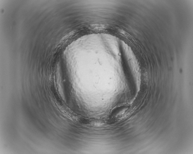 X0000059790662200511111536
