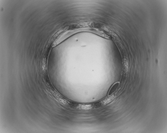 X0000059790665200511111537