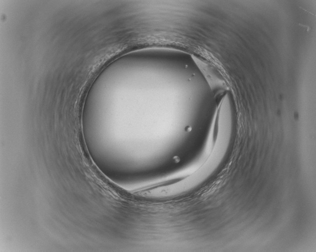 X0000059790673200511111536