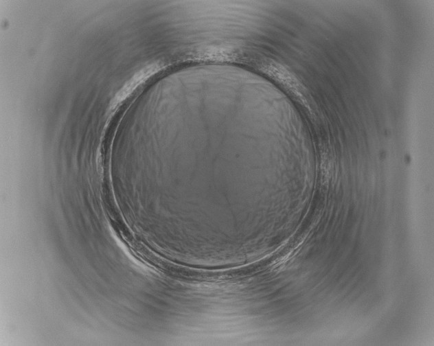 X0000059790674200511111536